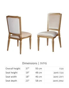 דגם 13