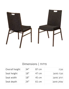 דגם 17