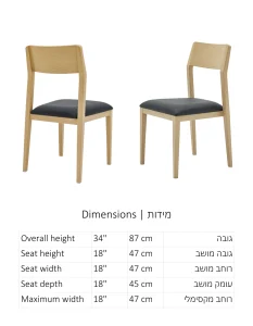 דגם 2