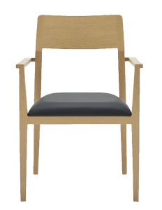 Model 2 with armrests